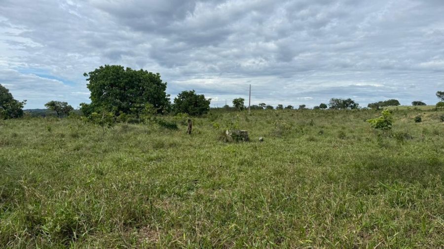 Fazenda - Venda - Zona Rural - Chapada dos Guimar�es - MT