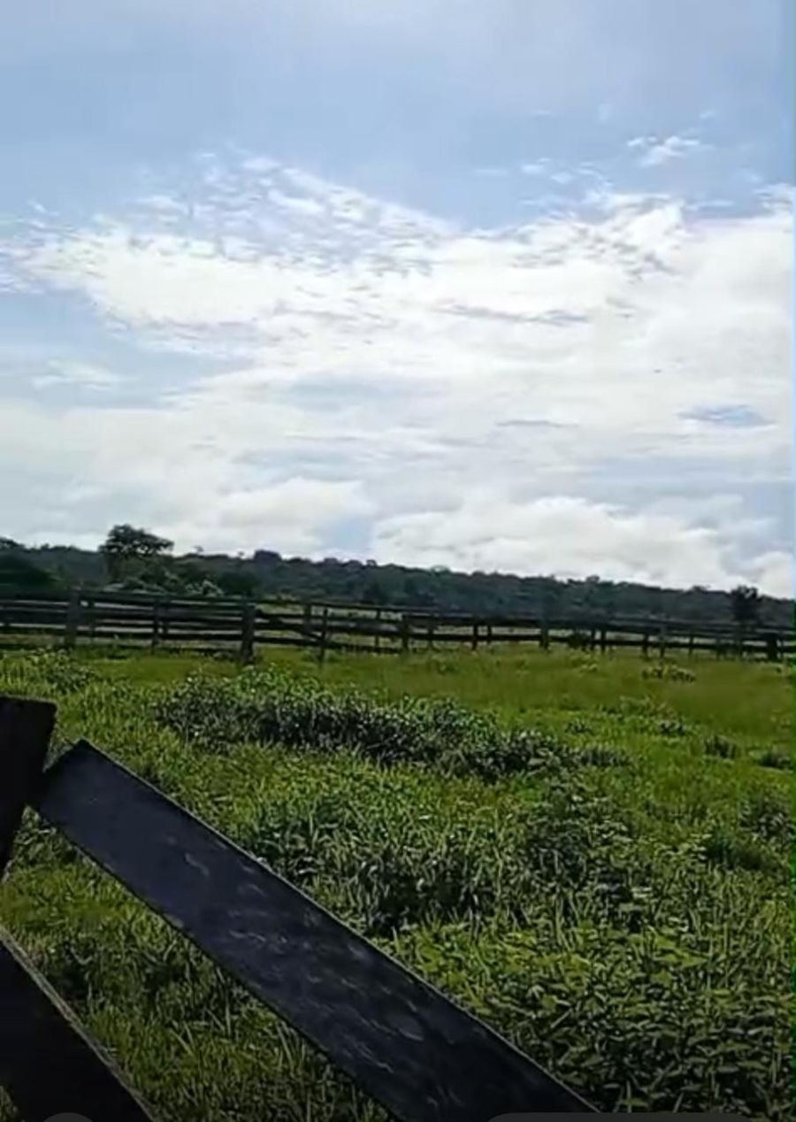 Fazenda - Venda - Zona Rural - Alta Floresta - MT