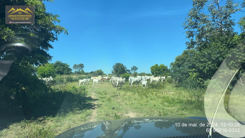 Fazenda - Venda - Zona Rural - Nossa Senhora do Livramento - MT