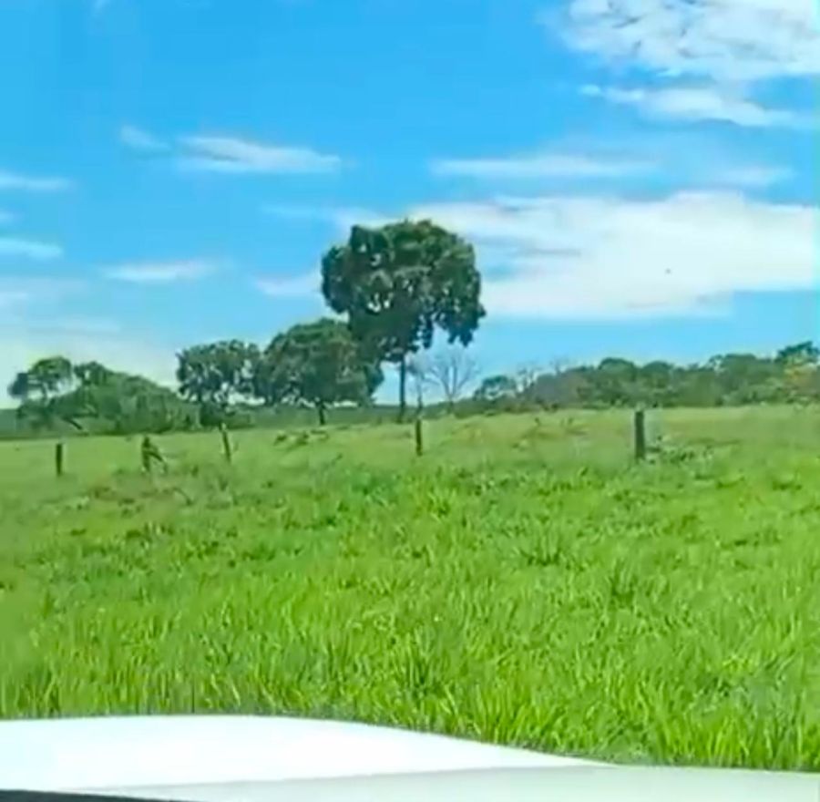 Fazenda - Venda - Faval - Nossa Senhora do Livramento - MT