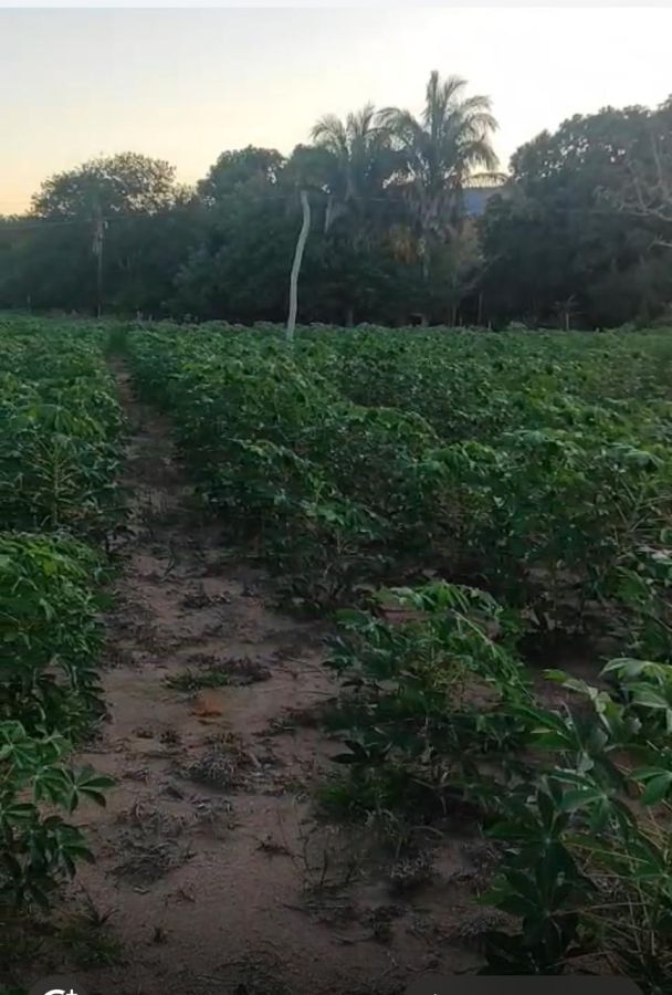 Stio - Venda - Zona Rural - Santo Antnio do Leverger - MT