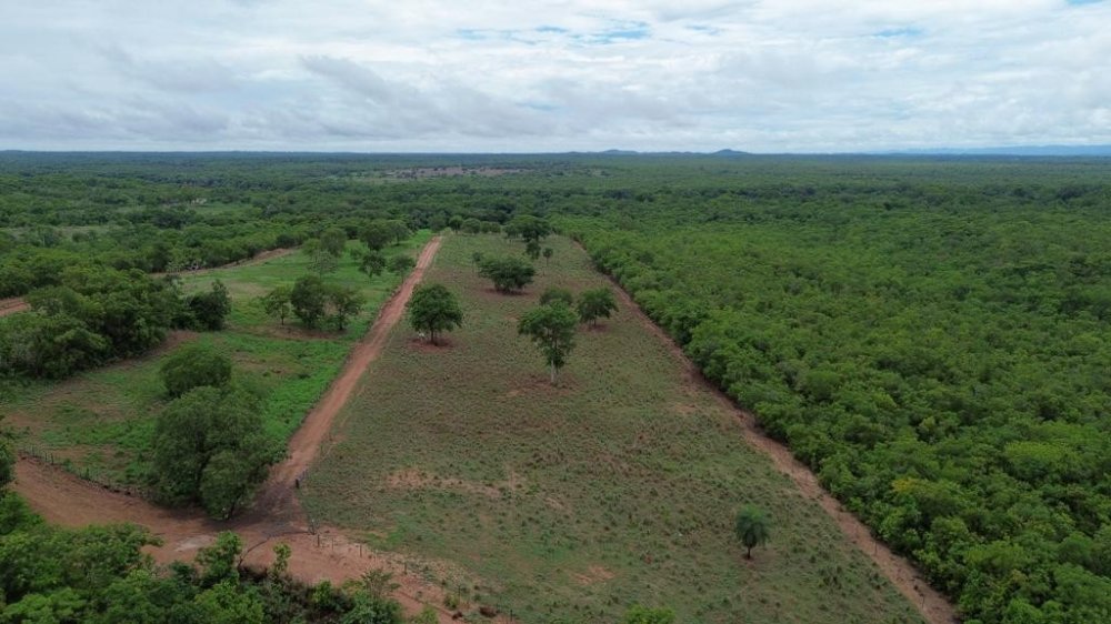 Chcara - Venda - Zona Rural - Acorizal - MT