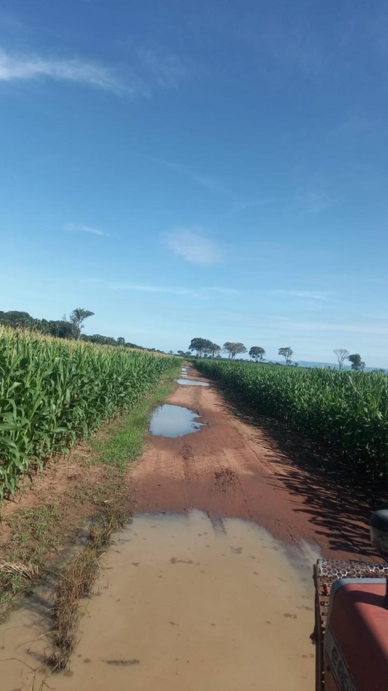 Fazenda - Venda - Zona Rural - Santo Antnio do Leverger - MT