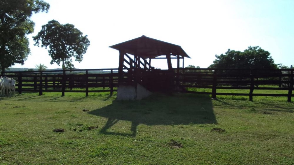 Stio - Venda - Zona Rural - Acorizal - MT