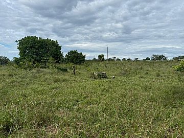 Fazenda com 157 Hectares Pecu�ria