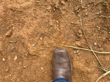 Fazenda 800 hectares - Argila acima de 30%