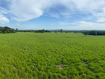 Fazenda Pecuaria 174 Hectares Porteira Fechada em MT